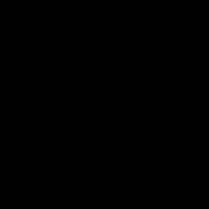 Meet your Posher, 钟琪